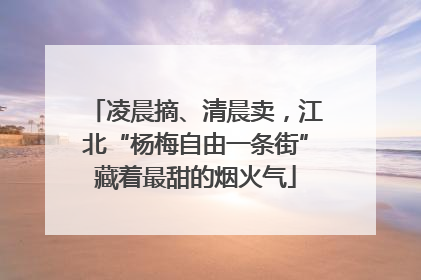 凌晨摘、清晨卖，江北“杨梅自由一条街”藏着最甜的烟火气