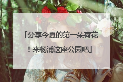 分享今夏的第一朵荷花！来杨浦这座公园吧