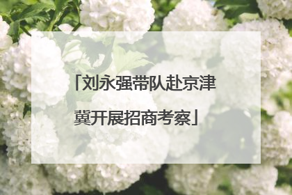 刘永强带队赴京津冀开展招商考察