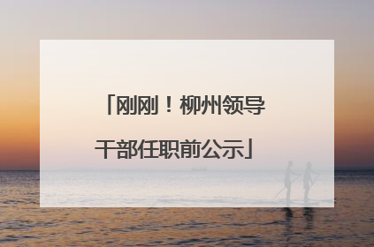 刚刚！柳州领导干部任职前公示