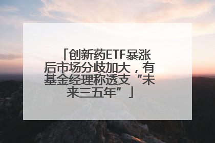 创新药ETF暴涨后市场分歧加大，有基金经理称透支“未来三五年”