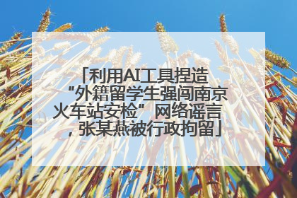 利用AI工具捏造 “外籍留学生强闯南京火车站安检”网络谣言，张某燕被行政拘留