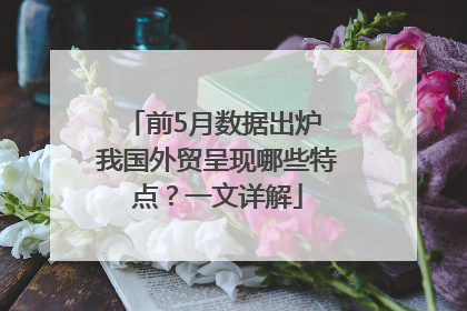 前5月数据出炉 我国外贸呈现哪些特点？一文详解