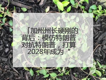 加州州长硬刚的背后：模仿特朗普对抗特朗普，打算2028年成为“特朗普”