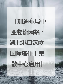 加速布局中亚物流网络：湖北港口汉欧国际塔什干集散中心启用