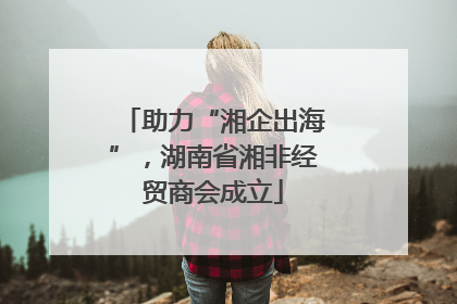 助力“湘企出海”，湖南省湘非经贸商会成立