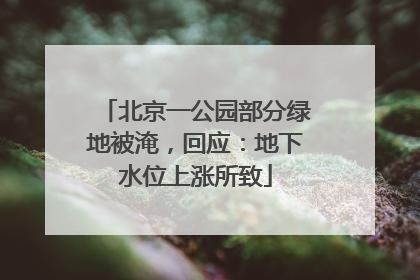 北京一公园部分绿地被淹，回应：地下水位上涨所致