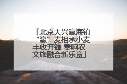 北京大兴瀛海镇“瀛”麦相承小麦丰收开镰 奏响农文旅融合新乐章