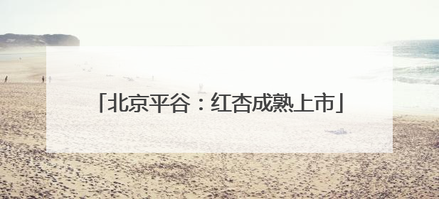 北京平谷：红杏成熟上市