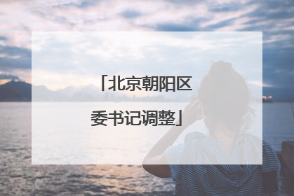 北京朝阳区委书记调整