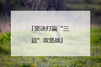 坚决打赢“三夏”攻坚战