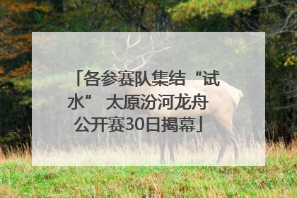 各参赛队集结“试水” 太原汾河龙舟公开赛30日揭幕