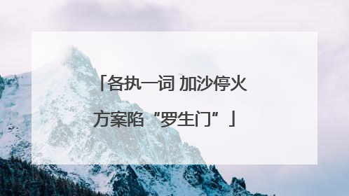 各执一词 加沙停火方案陷“罗生门”