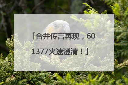 合并传言再现，601377火速澄清！