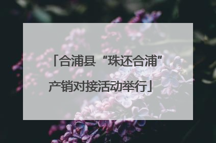 合浦县“珠还合浦”产销对接活动举行