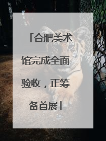 合肥美术馆完成全面验收，正筹备首展