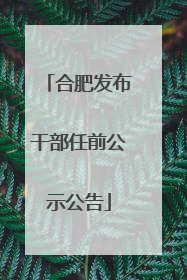 合肥发布干部任前公示公告