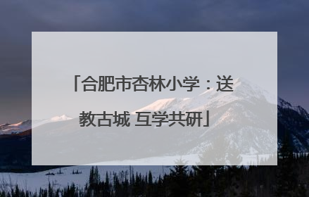 合肥市杏林小学：送教古城 互学共研