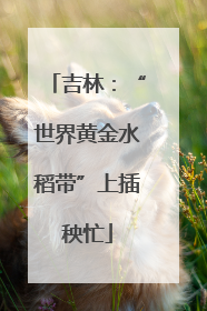 吉林：“世界黄金水稻带”上插秧忙