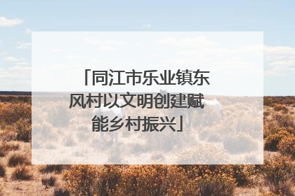 同江市乐业镇东风村以文明创建赋能乡村振兴