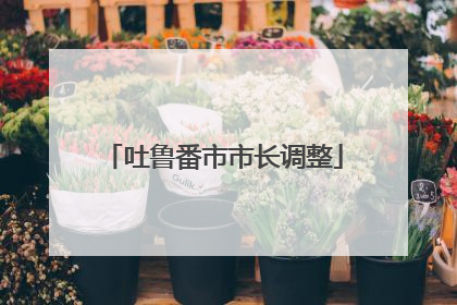 吐鲁番市市长调整