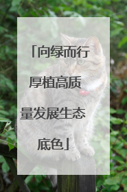 向绿而行 厚植高质量发展生态底色