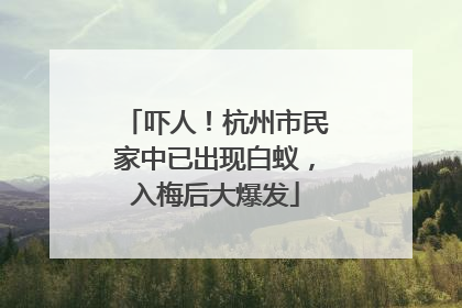 吓人！杭州市民家中已出现白蚁，入梅后大爆发