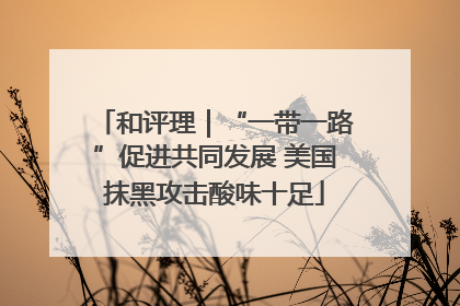 和评理｜“一带一路”促进共同发展 美国抹黑攻击酸味十足