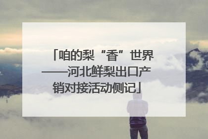 咱的梨“香”世界——河北鲜梨出口产销对接活动侧记