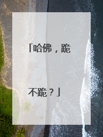 哈佛，跪不跪？