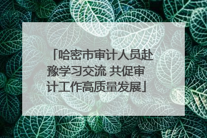 哈密市审计人员赴豫学习交流 共促审计工作高质量发展