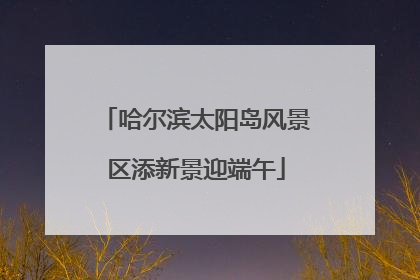 哈尔滨太阳岛风景区添新景迎端午