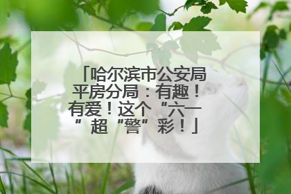 哈尔滨市公安局平房分局：有趣！有爱！这个“六一”超“警”彩！