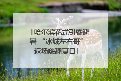 哈尔滨花式引客避暑 “冰城左右哥”返场嗨翻夏日