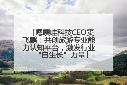 嗯噢哇科技CEO窦飞鹏：共创旅游专业能力认知平台，激发行业“自生长”力量