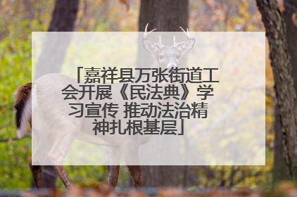 嘉祥县万张街道工会开展《民法典》学习宣传 推动法治精神扎根基层