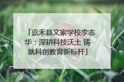 嘉禾县文家学校李志华：深耕科技沃土 铸就科创教育新标杆