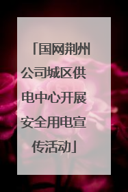 国网荆州公司城区供电中心开展安全用电宣传活动
