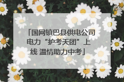 国网镇巴县供电公司 电力“护考天团”上线 温情助力中考