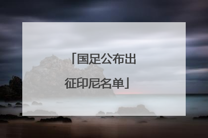 国足公布出征印尼名单