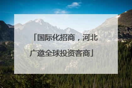 国际化招商，河北广邀全球投资客商