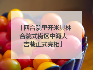 四合院里开米其林 合院式街区中海大吉巷正式亮相