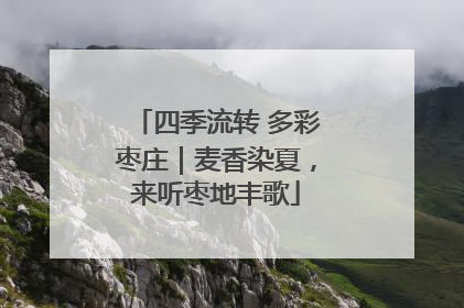 四季流转 多彩枣庄｜麦香染夏，来听枣地丰歌