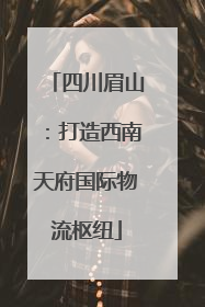 四川眉山：打造西南天府国际物流枢纽