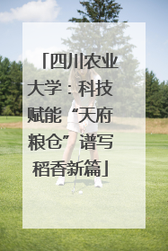 四川农业大学：科技赋能“天府粮仓”谱写稻香新篇