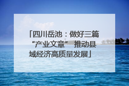 四川岳池：做好三篇“产业文章” 推动县域经济高质量发展