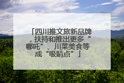 四川推文旅新品牌，扶持和推出更多“哪吒”、川菜美食等成“吸睛点”