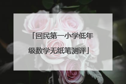 回民第一小学低年级数学无纸笔测评