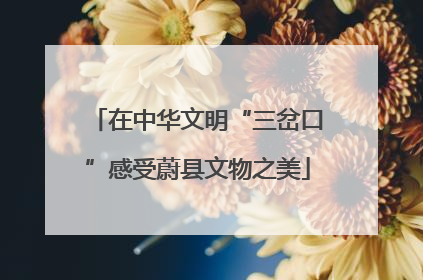 在中华文明“三岔口”感受蔚县文物之美