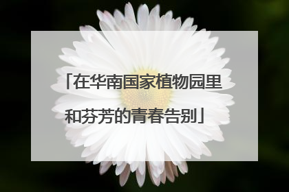 在华南国家植物园里和芬芳的青春告别